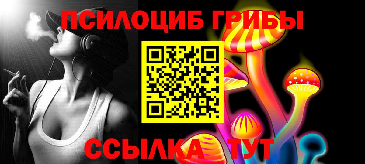 Гатчина  Псилоцибиновые грибы GOLDEN TEACHER  Галлюциногенные грибы Magic Shrooms  Вход с VPN 