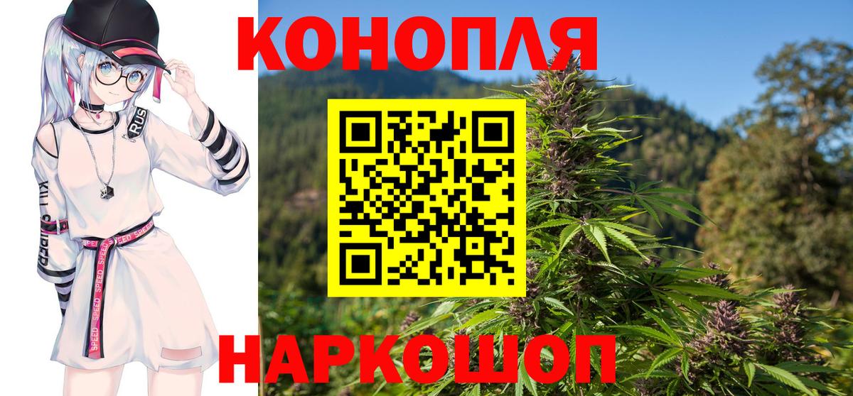 Канабис MAZAR  Вход с VPN  МАРИХУАНА сатива  Канабис конопля  Гатчина 